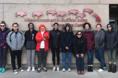 Head-Smashed-In-Buffalo-Jump