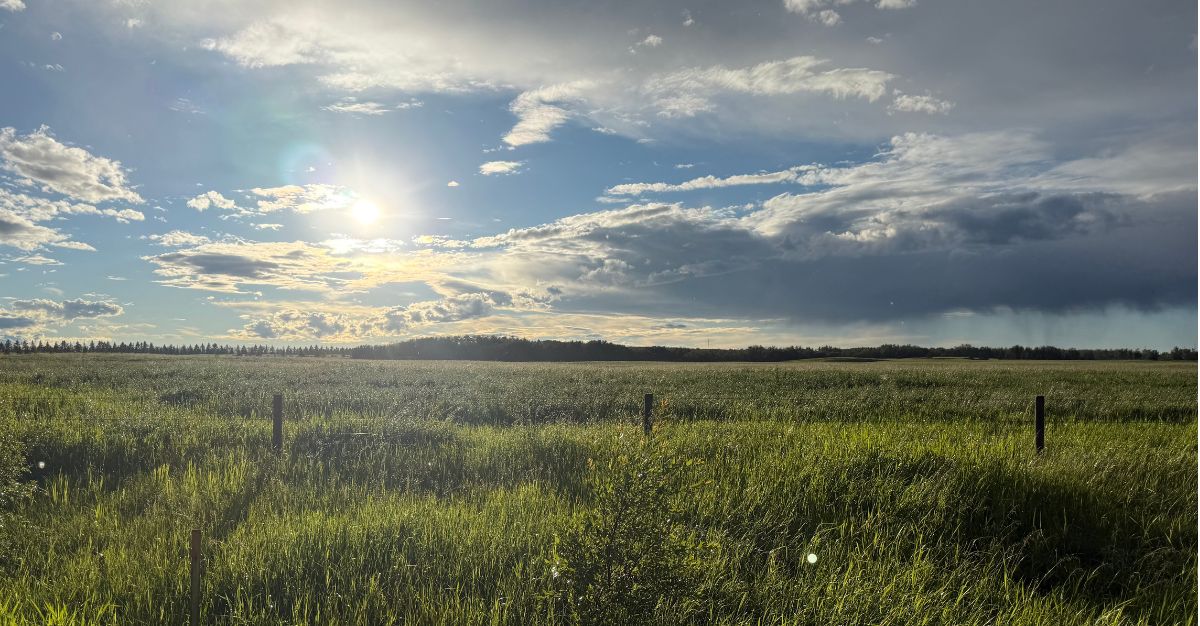 Featured image for “A Pastoral Word: Holding Grief, Compassion and Courage Together”